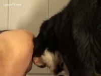 Right up in the ass